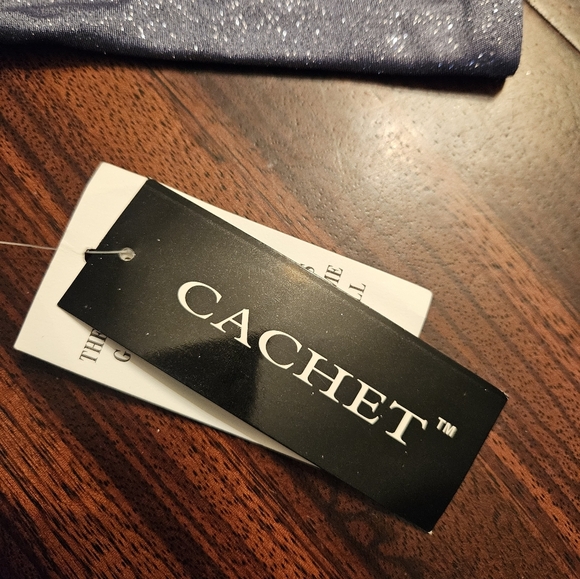 Cachet Blue Gray Mini Dress Cold Shoulder Rhinestone Glitter Cowl Back Sz 16 NWT - Picture 7 of 11